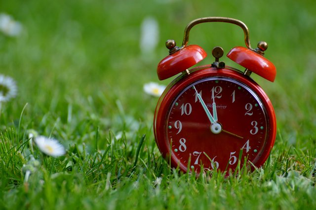 red clock on grass